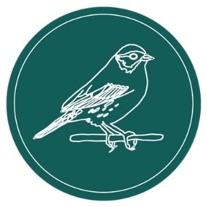 LOGO: Savannah Sparrow outlined in white on teal background