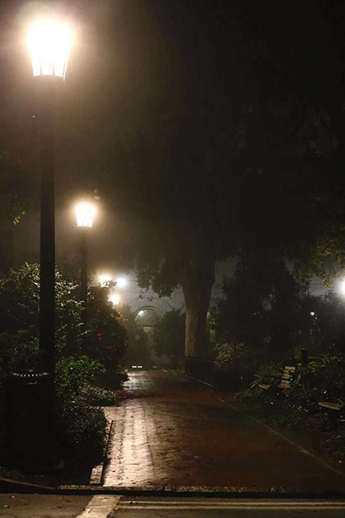 Dimly lit park with brick sidewalks and lampposts illuminating the mist