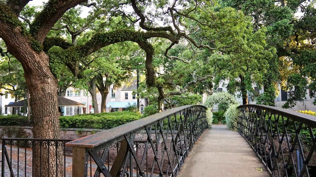 Walking bridge over Factors Walk with iron railings shaded by the branches of mature oak trees