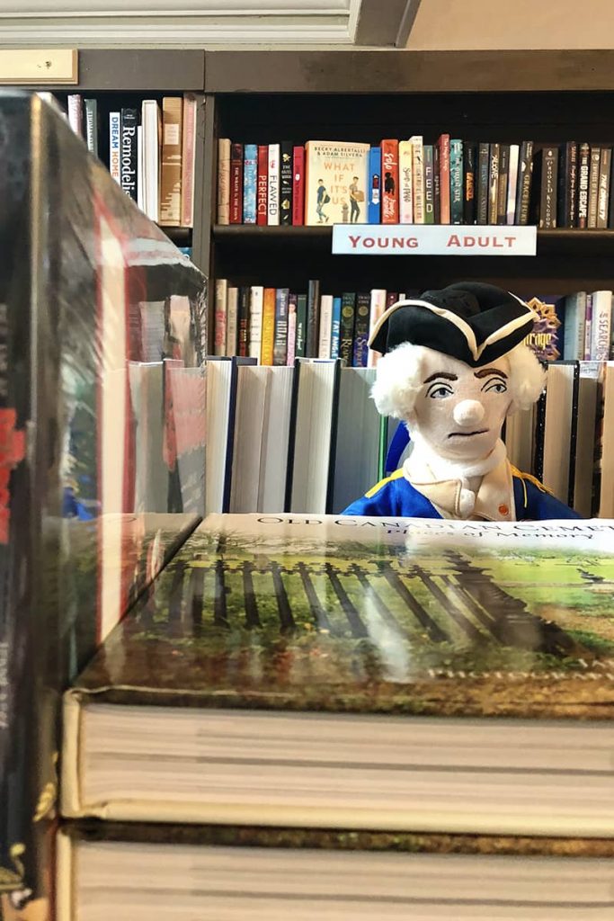 Bookshelf loaded with Young Adult novels and a stuffed doll peeking out from between books