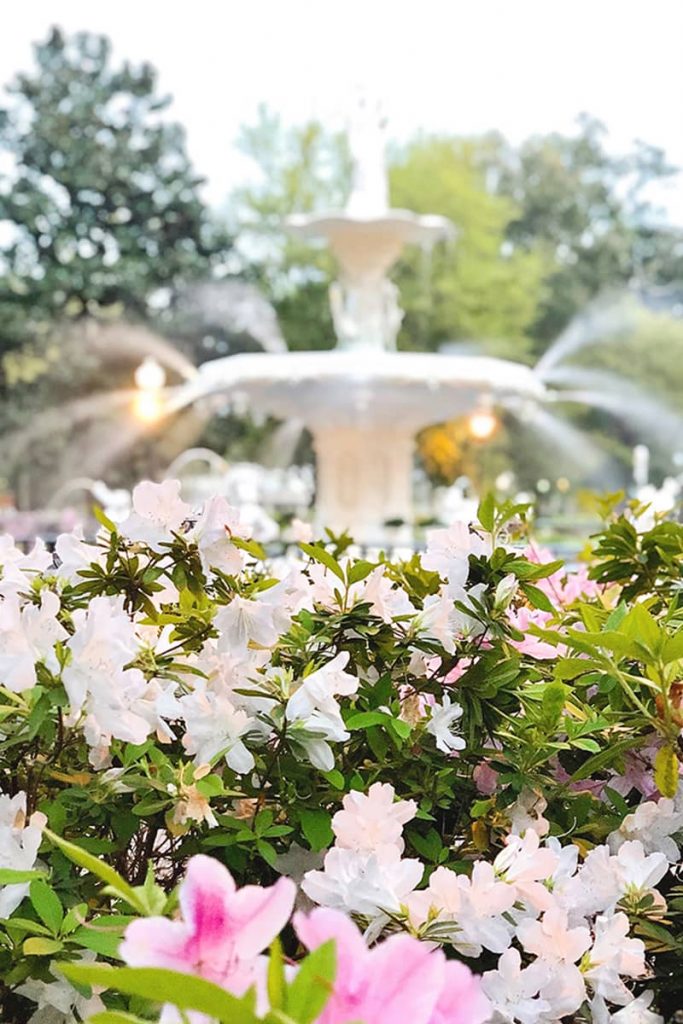 Best time to visit Savannah is spring because you'll find pink and white azaleas blooming in front of Forsyth Fountain