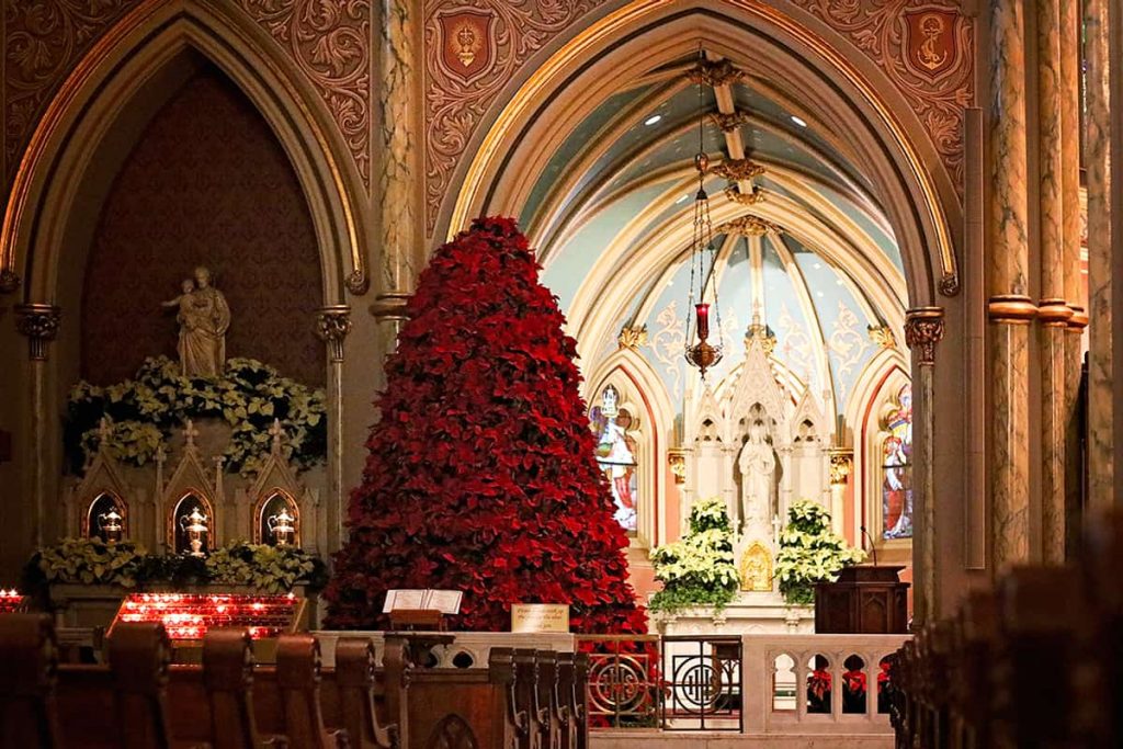 Elaborate church interior decorated with a 20-ft tall Christmas tree made of poinsettias