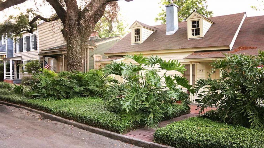 Neatly landscaped green space on Jones Street in Savannah