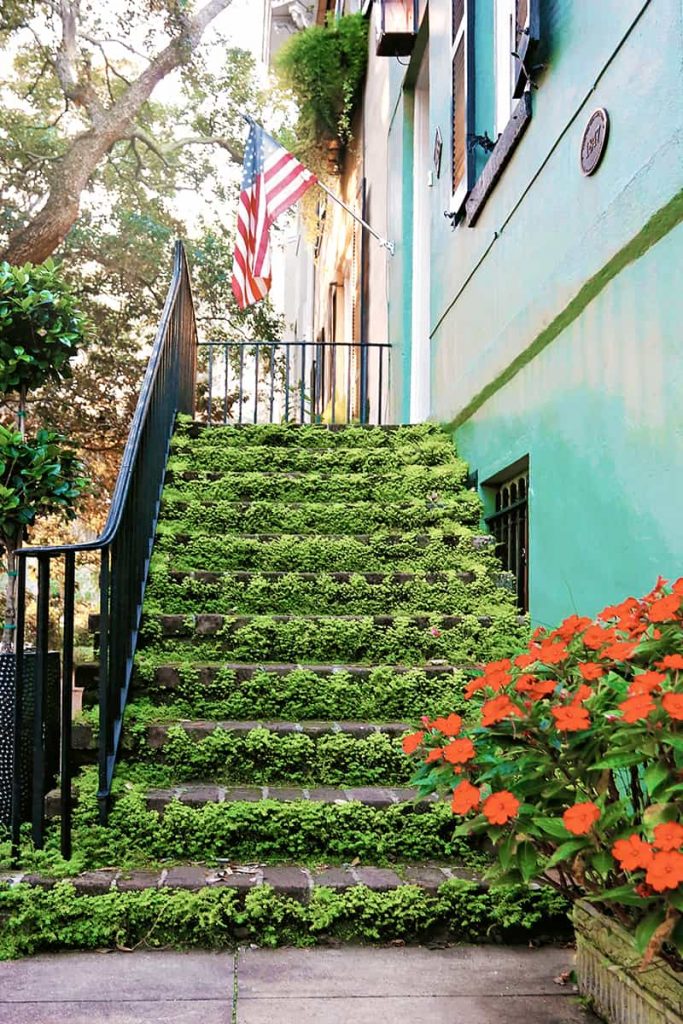 Stairs covered in bright green moss with an American flag hanging over the doorway