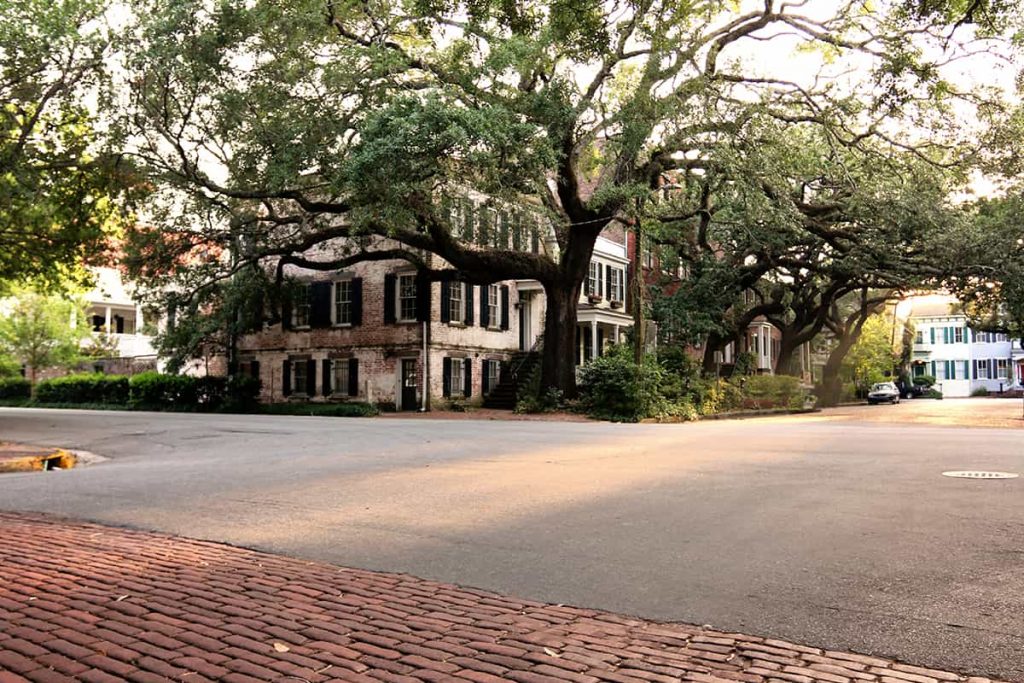 A massive Southern live oak overshadowing a house and the entire corner of a block on Jones Street in Savannah