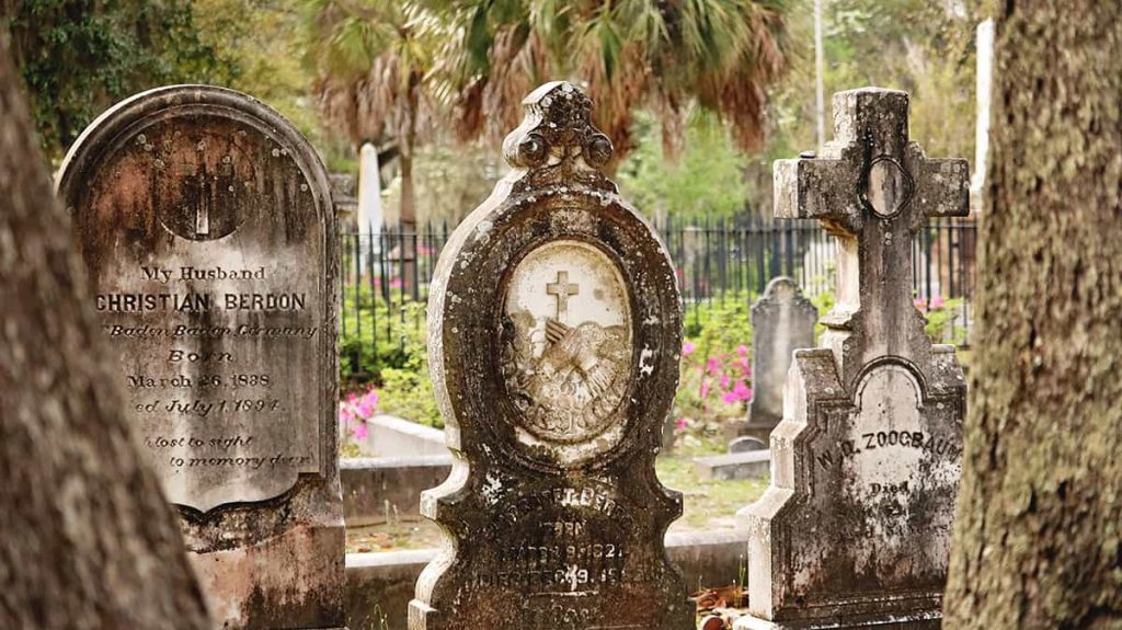 Tree trunks in the foreground with three elaborate old headstones in the background