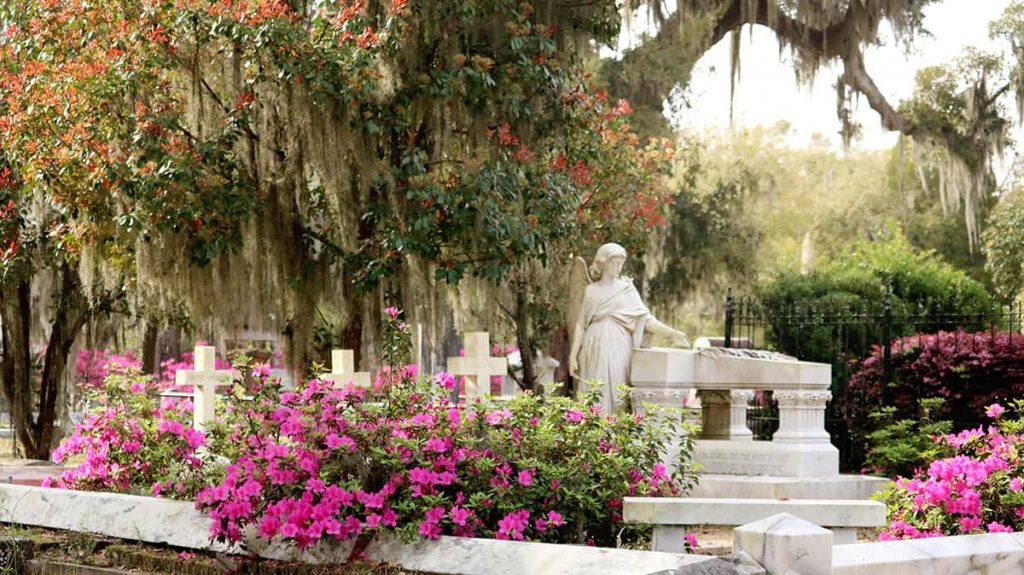 Bonaventure Cemetery scene with pink azaleas, three crosses and an angel with a broken wing headstone, and beautiful trees with Spanish moss as the backdrop