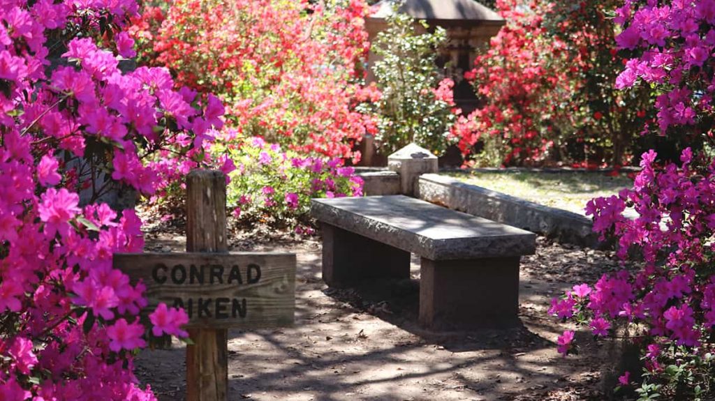 Conrad Aiken sign carved in wood at the entrance to a Bonaventure Cemetery plot surrounded by hot pink azaleas