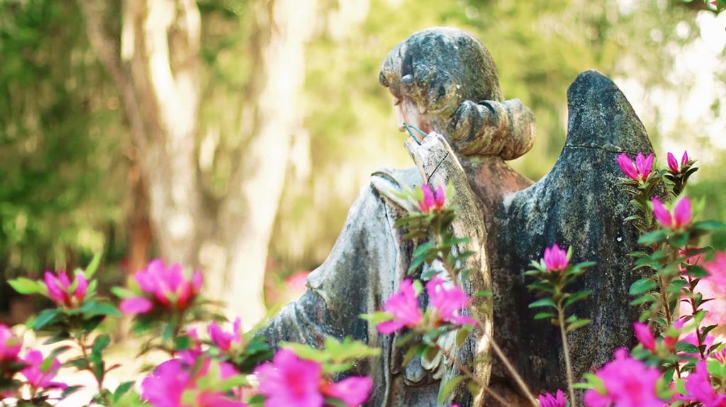 Peering through azaleas at the back of a statue of an angel with a broken wing