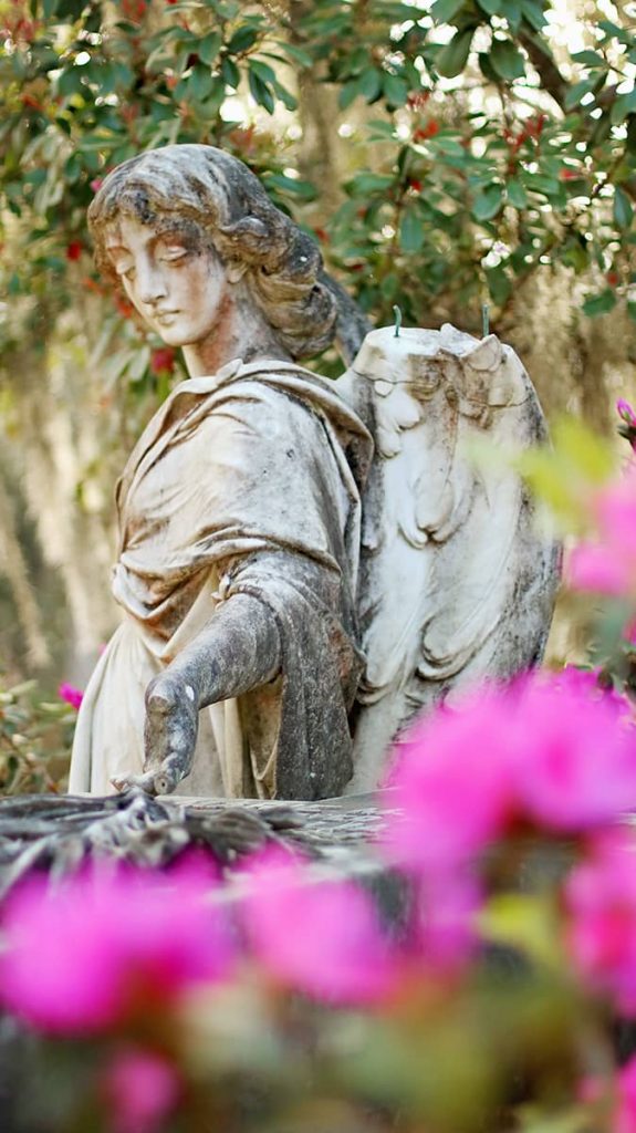 Statue of an angel in Bonaventure Cemetery surrounded by pink azaleas and beautiful trees