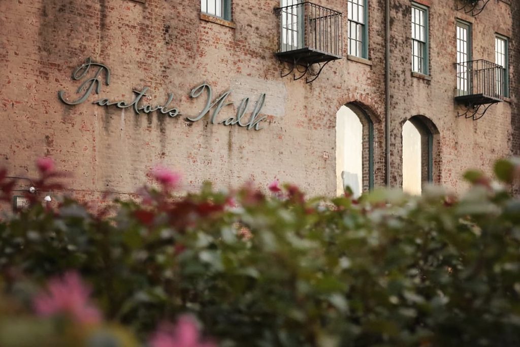 Peering through blooming plants at a historic brick building with a cursive metal sign that reads Factors Walk 