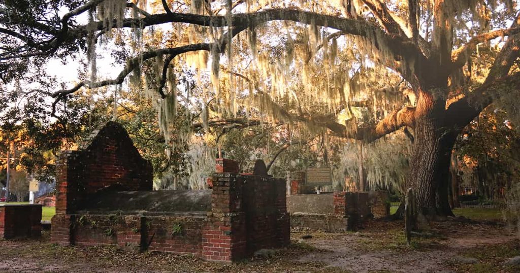 A massive oak in Colonial Park Cemetery with sunlight illuminating Spanish moss and timeworn old headstones beneath it
