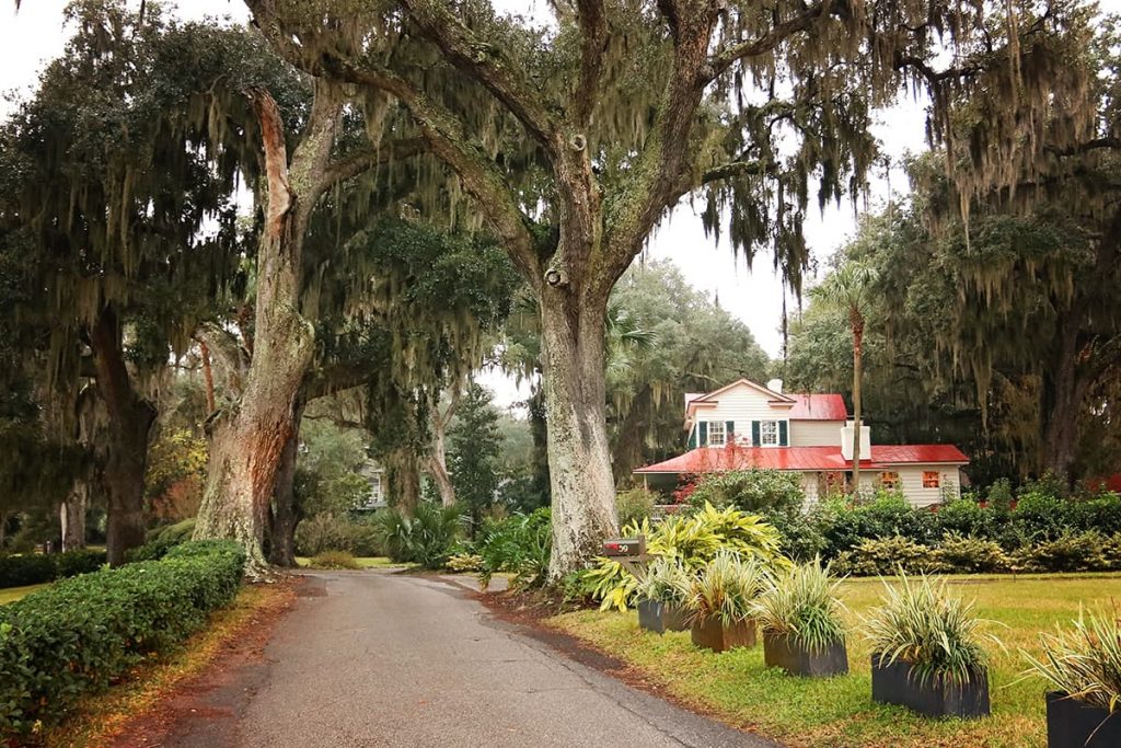 Foggy scene of a paved road lined with towering old oaks covered in Spanish moss and a Lowcountry-style house with a red metal roof in the background
