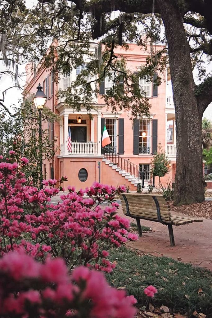 View of 432 Abercorn Street through hot pin azalea bushes in Calhoun Square. The home is a 3-story salmon-colored plaster structure with black shutters and white trim