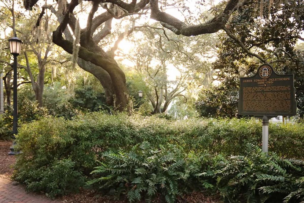 Historic marker surrounded by lush ferns and landscaped oaks in Chippewa Square Savannah