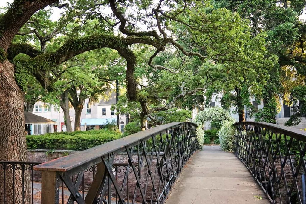 Pedestrian bridge over Factors Walk with iron railings shaded by the branches of mature oak trees