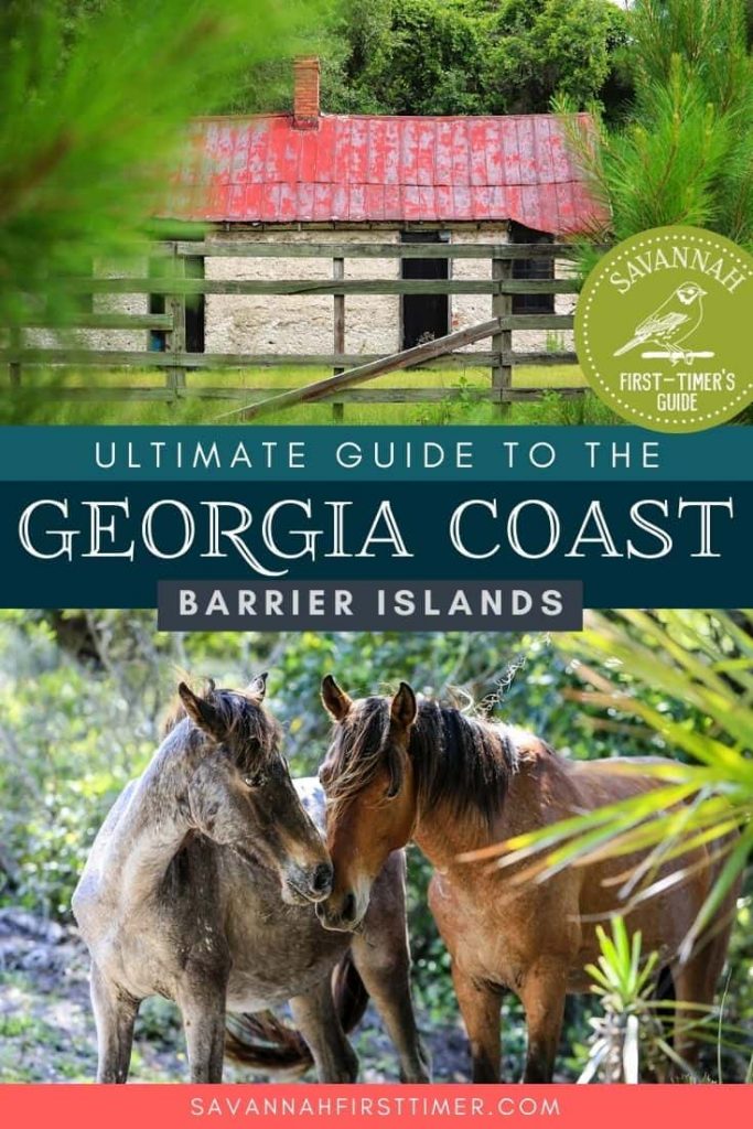 Pinnable graphic with a photo of an abandoned cabin with a faded red metal roof and two wild horses. Text overlay reads Ultimate Guide to the Georgia Coast Barrier Islands