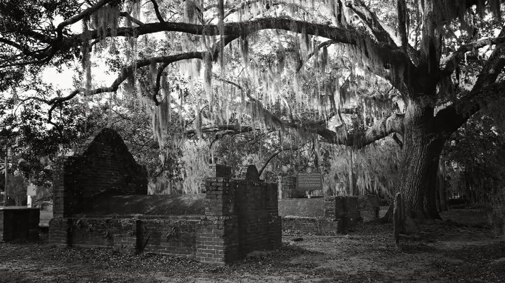 Eerie B&W image of the branches of a massive oak tree towering over old tombs in Colonial Park Cemetery at night