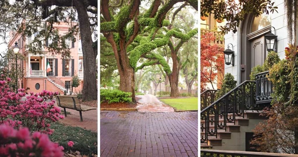 Collage of three spring photos showing Savannah weather by month