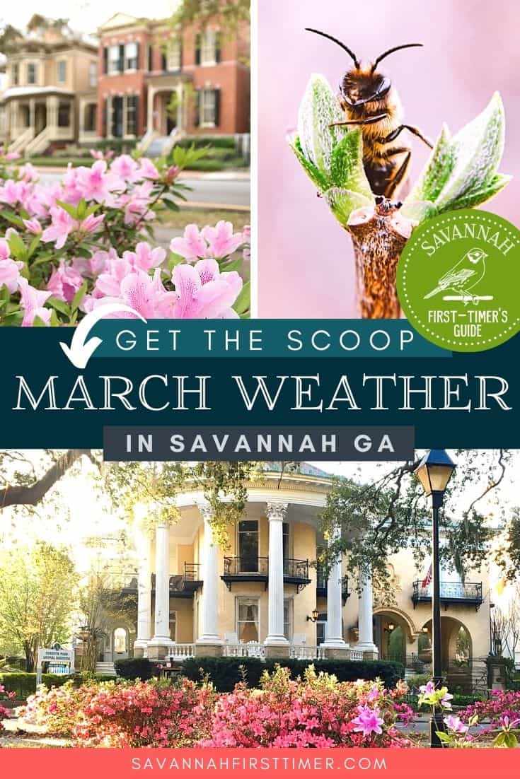 Savannah Weather in March (Includes Photos!) Savannah FirstTimer's Guide