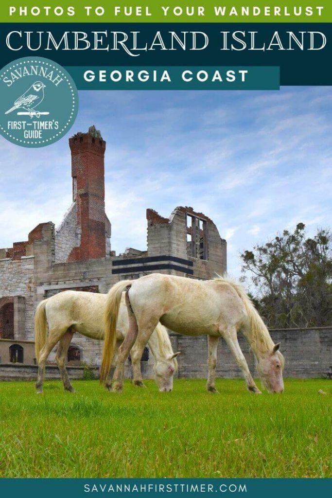Pinnable graphic with a photo of wild horses and text overlay that reads Incredible Photos to Fuel Your Wanderlust to Cumberland Island National Seashore