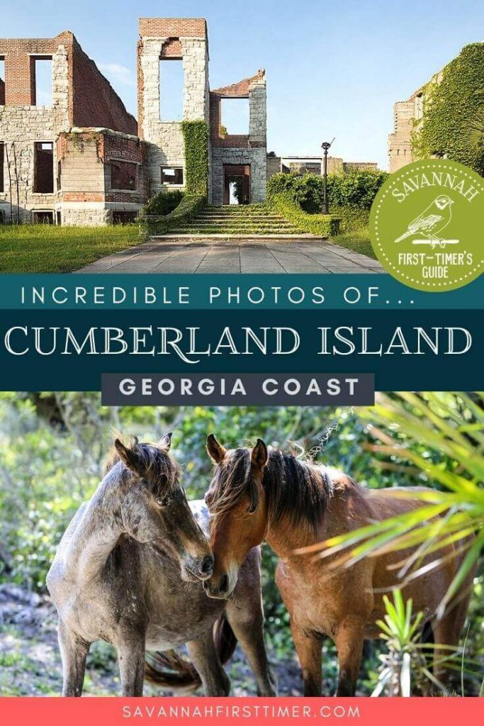 Pinnable graphic with a Dungeness Ruins photo and a photo of wild horses, with text overlay that reads Incredible Photos of Cumberland Island National Seashore