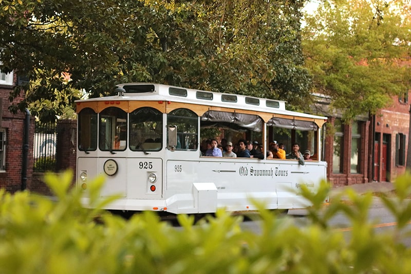 Peering through greenery at a white Old Savannah Tours trolley filled with passengers