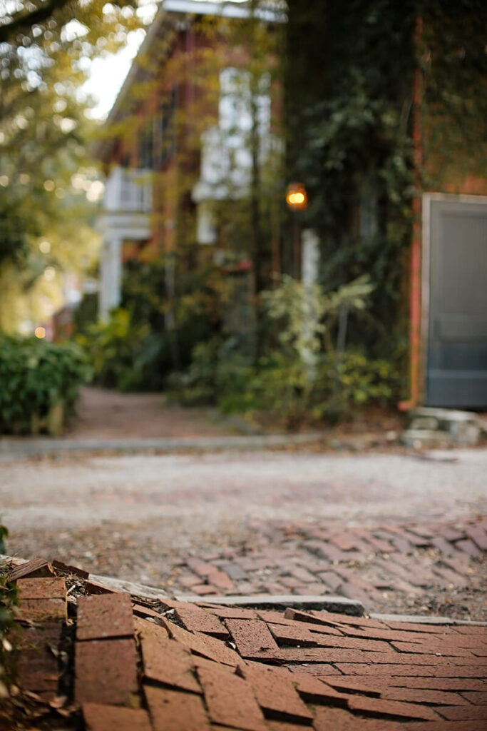 Low angle looking down a sidewalk made of bricks, but the bricks have been displaced thanks to the massive roots from an oak tree. Beautiful historic homes are visible in the distance