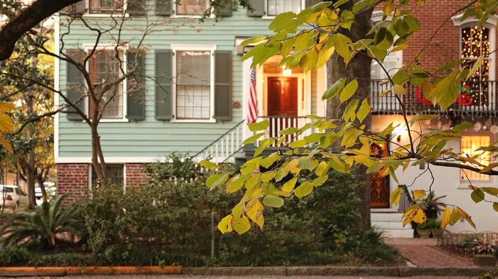 A cozy home on Jones Street with a tree in the foreground that is just beginning to yellow for fall. The home next door has a Christmas tree in the window and holiday decor on the porch