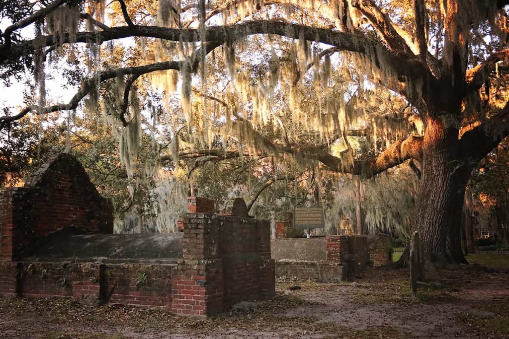 A Southern live oak, its branches loaded with Spanish moss, grows amongst tombs in Colonial Park Cemetery