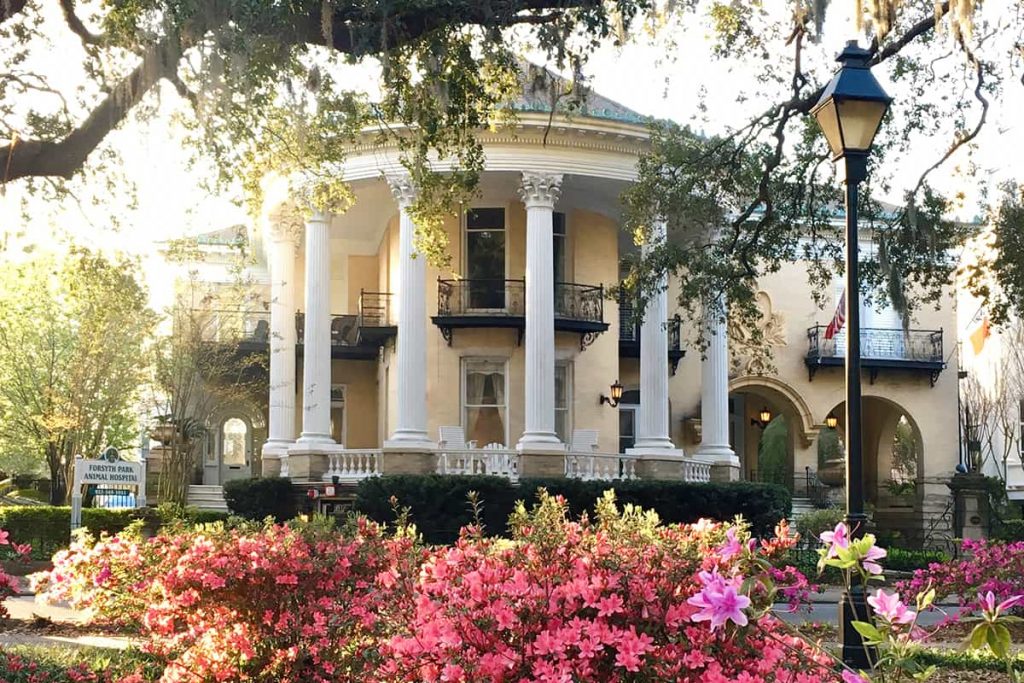 Stately mansion with white columns surrounding a rounded, two story front porch. Pink and red azaleas are blooming prolifically in the foreground