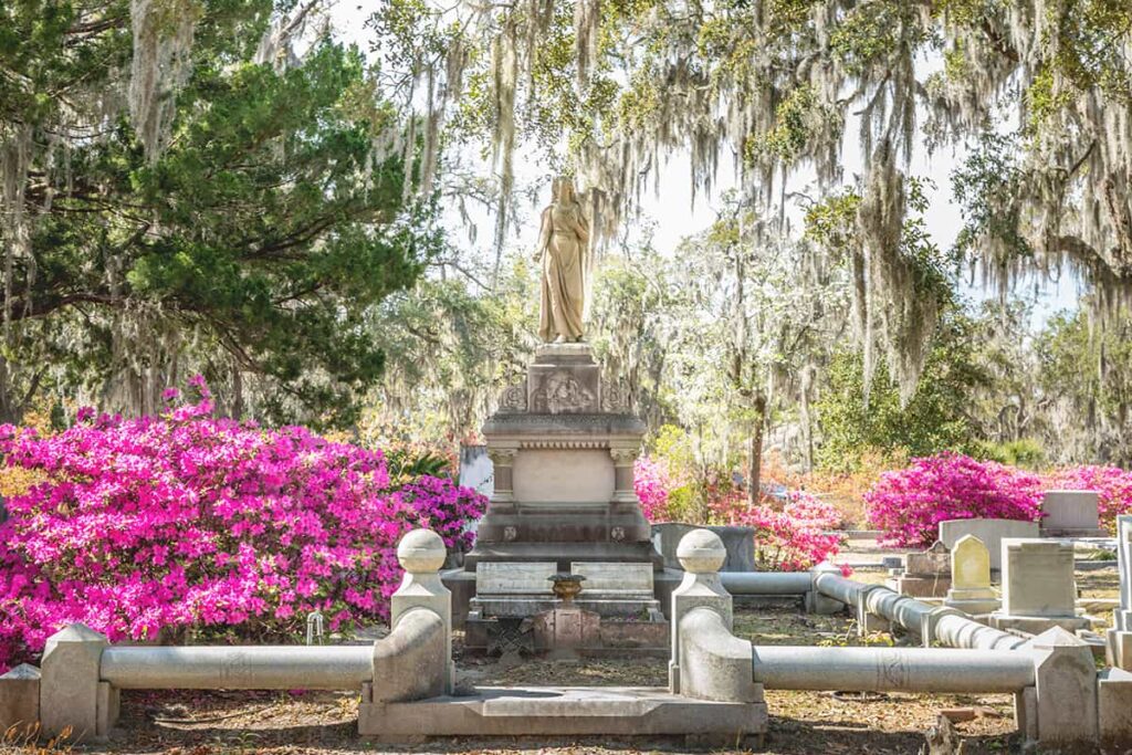 A plot in Bonaventure Cemetery with hot pink azalea bushes surrounding an elaborate monument topped with a female holding one hand to her chest. The background is filled with trees, many dripping in Spanish moss