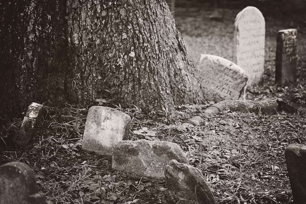 Worn, older headstones scattered along the base of a massive oak tree. The trunk of the tree is swallowing the headstones in may cases, while its roots have caused others to tilt sideways