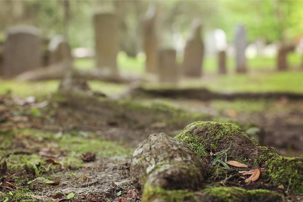 A moss-covered root in the foreground and blurry images of the simple headstones of formerly enslaved individuals who now rest in Laurel Grove Cemetery