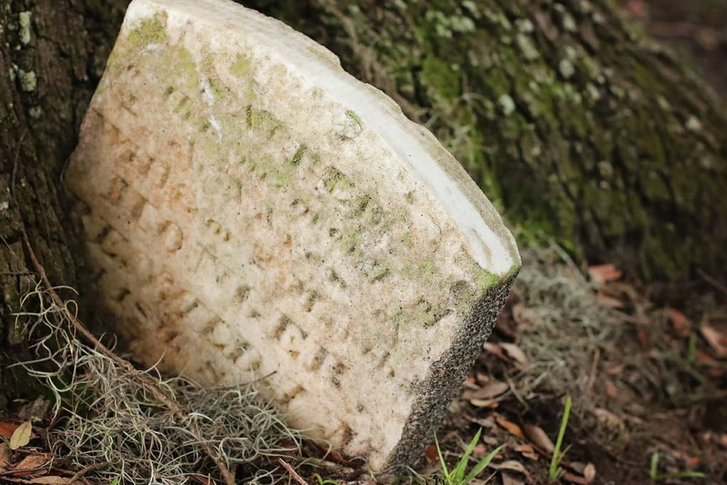 A small headstone of an individual who was once enslaved is slowly being swallowed up by the trunk of a massive oak tree growing in the slave burial ground in Laurel Grove South
