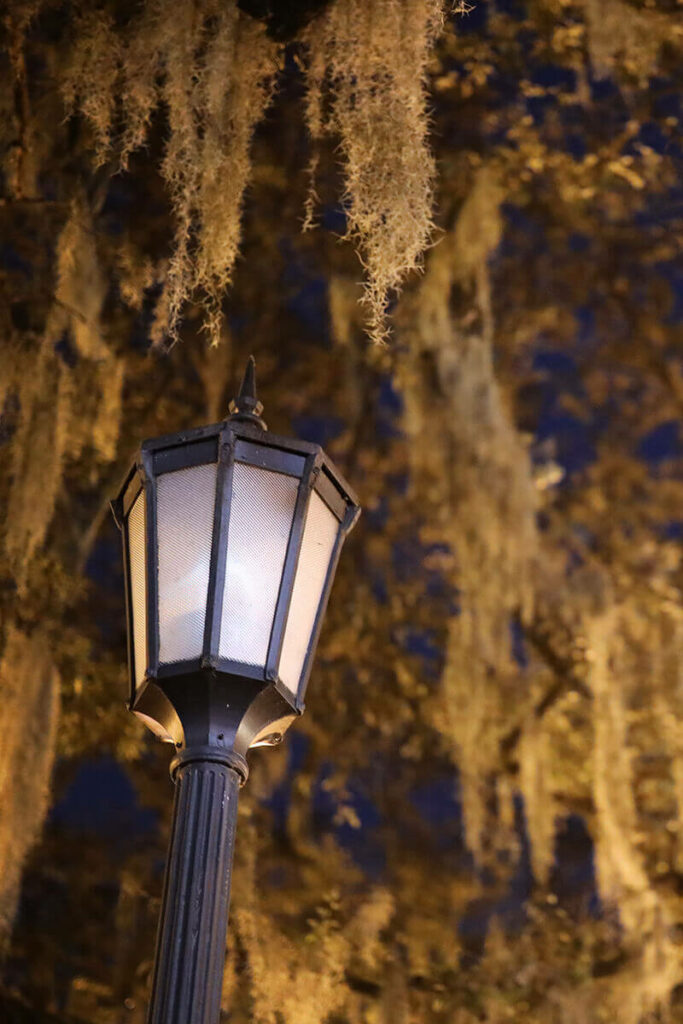 An old-timey gas lantern surrounded by Spanish moss