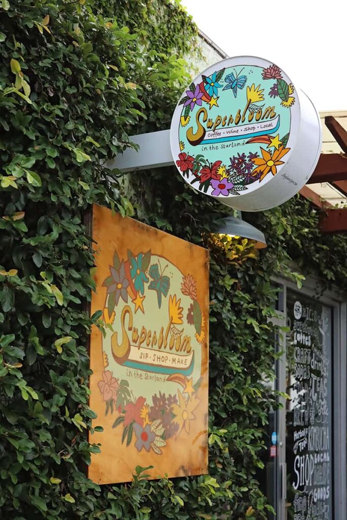 Two signs in Savannah's Starland District: One is a round sign that sticks out from the wall and has a colorful blue background and a variety of flowers, while the second sign is an orangish-yellow color and sits flat against a wall of live ivy. Both show the Superbloom Savannah logo