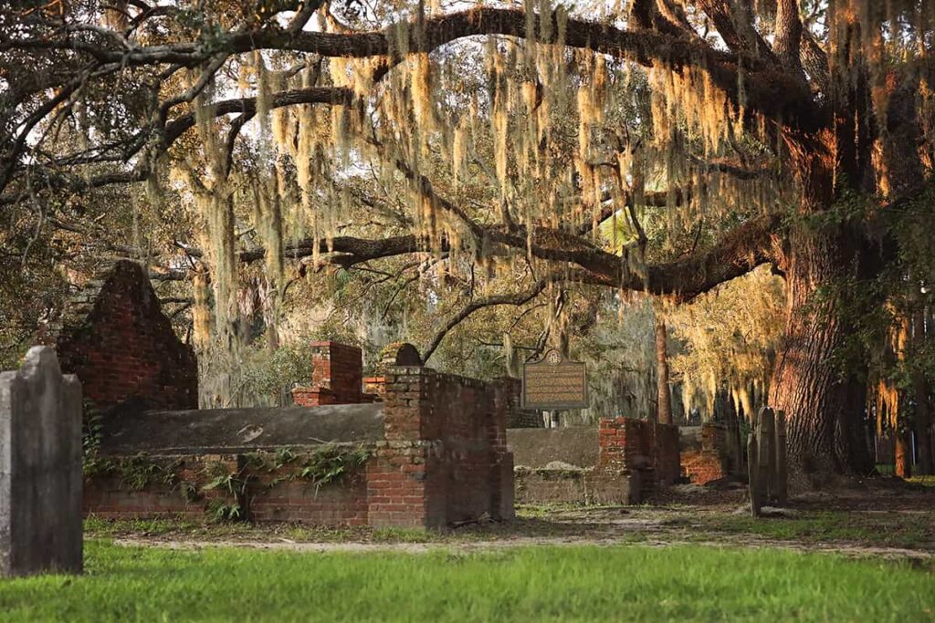 A Southern live oak, its branches loaded with Spanish moss, grows amongst tombs in Colonial Park Cemetery