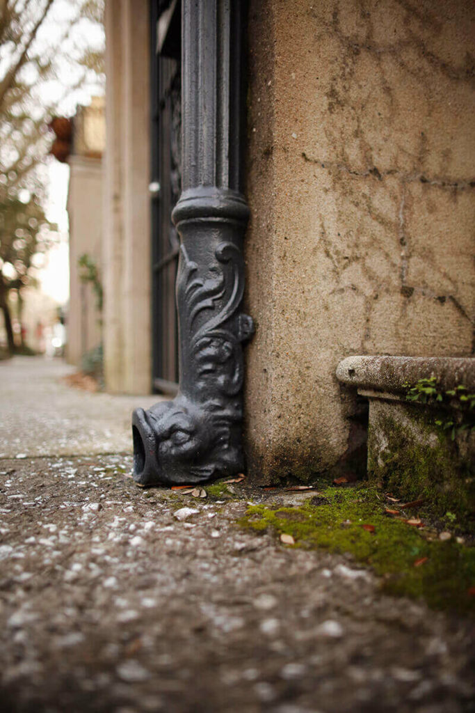 A fish downspout on the side of a house in Savannah, Georgia. The sidewalk and nearby stone wall are covered in lush, green moss