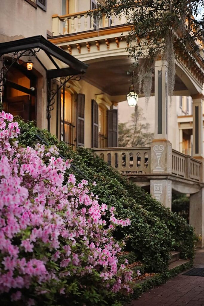 A mansion in Savannah at dusk with stairs covered in ivy and surrounded by light pink azaleas
