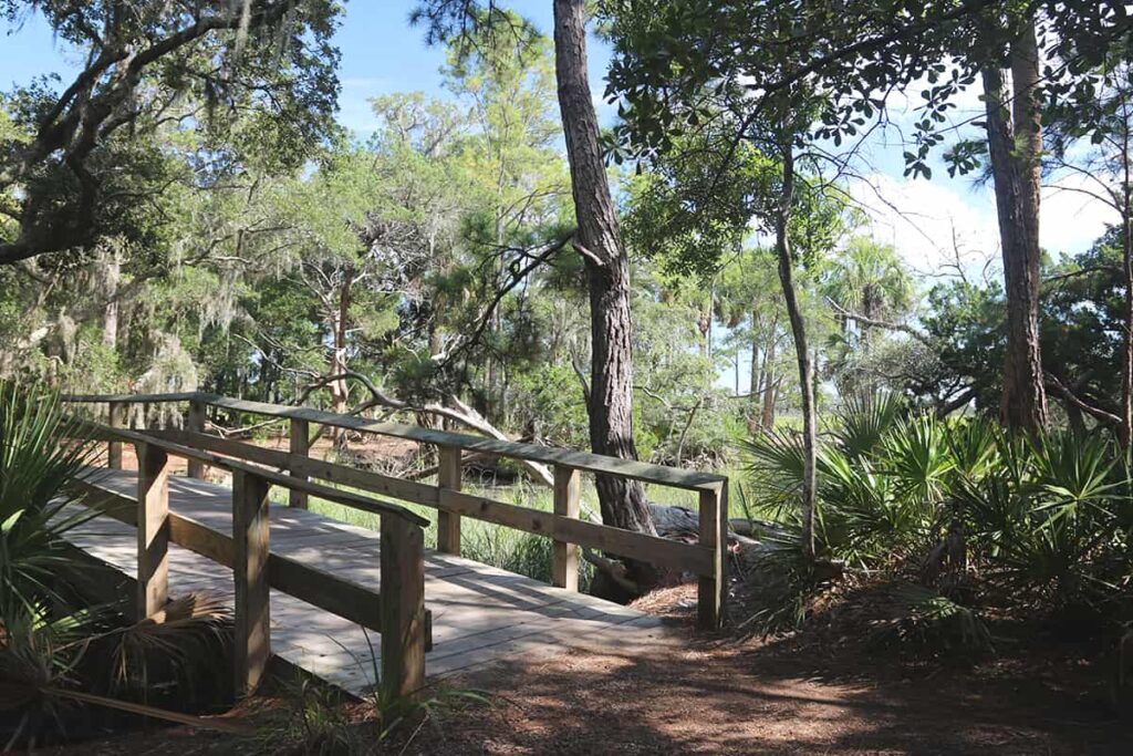 A scenic trail through the maritime forest at Wormsloe Historic Site lined with pine trees and saw palms