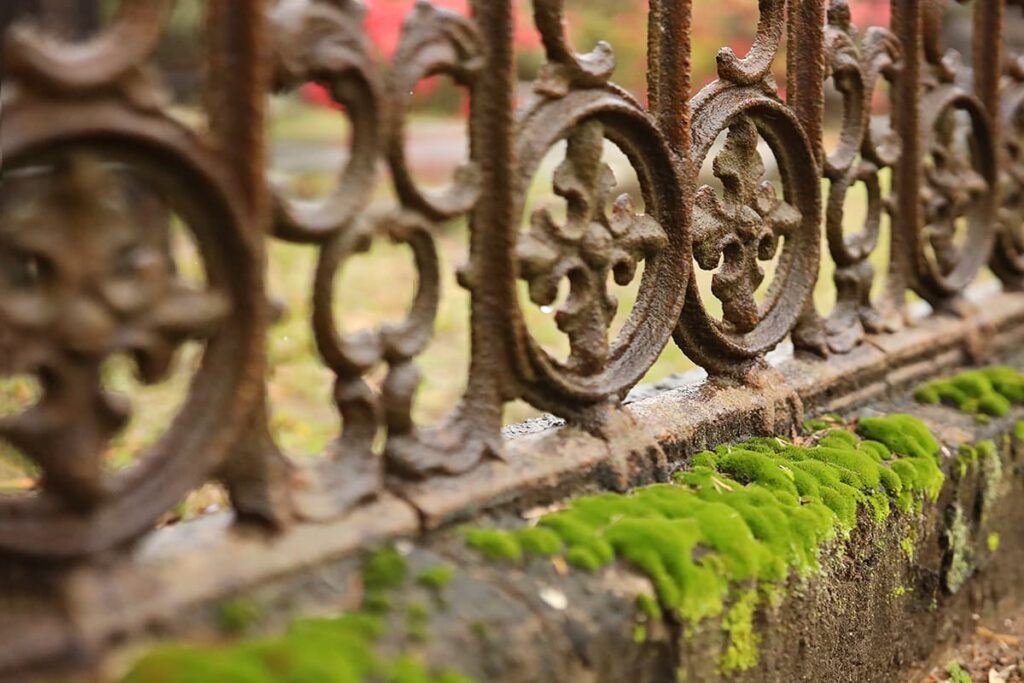 Close-up detail of an intricate wrought-iron fence in Laurel Grove Cemetery. Bright green moss pops against its rusted-brown color tones as droplets of rain drip from the fence