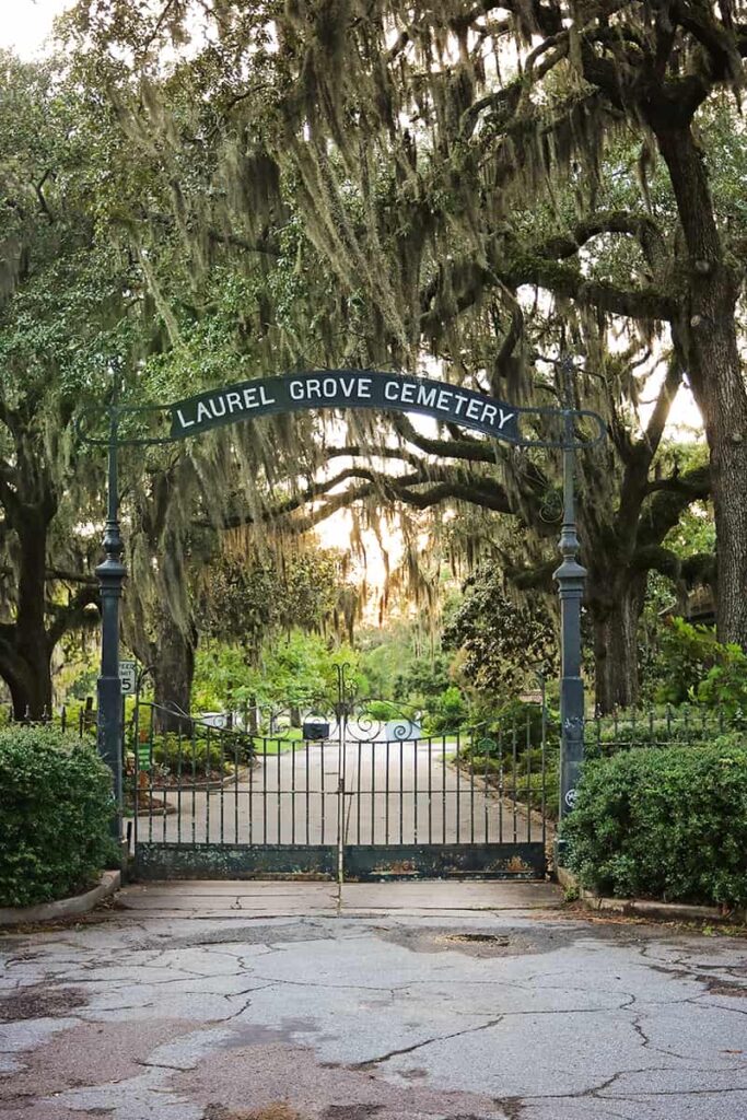 The closed gates to Laurel Grove Cemetery with large Southern live oaks covered in Spanish moss visible in the background and a hint of a golden sunset visible through their branches