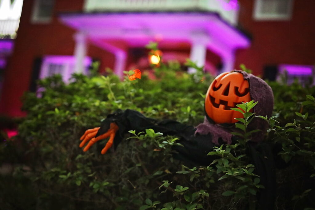 A skeleton with a smiling pumpkin for a head head lounges in azalea bushes in front of a stately brick home in Savannah's Ardsley Park neighborhood