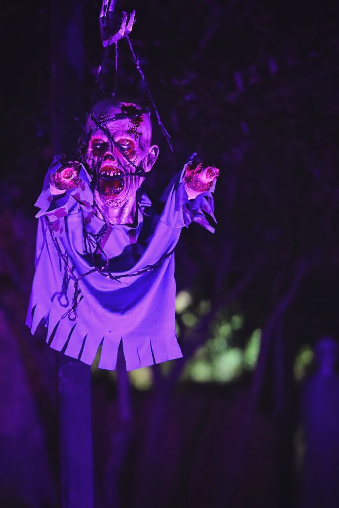 A creepy head and torso with missing limbs hangs from a tree in Ardsley Park, illuminated by purple lighting