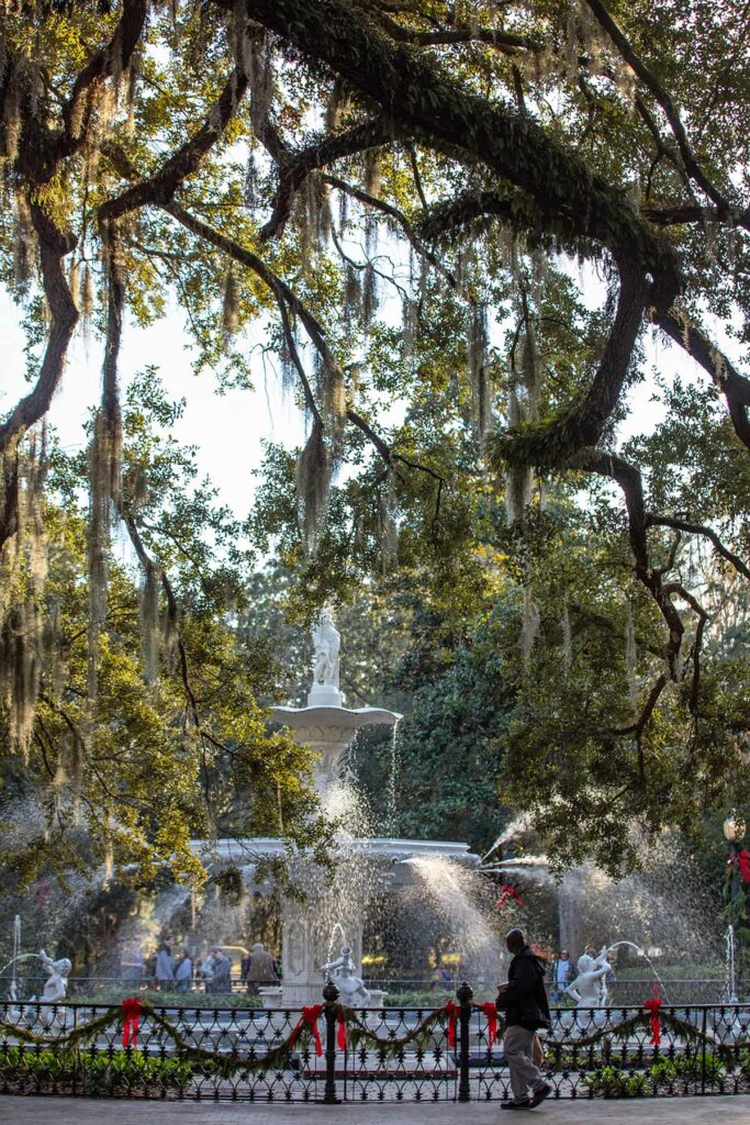 Forsyth Park fountain backlit by the sun and surrounded by trees. The iron fence encircling the fountain is decorated with live greenery and red ribbons for the holidays.