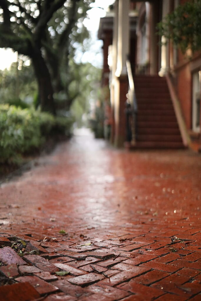 An old brick sidewalk in Savannah glistens after a fresh rainfall. Historic homes line the right side of the sidewalk while massive oaks shade the left side