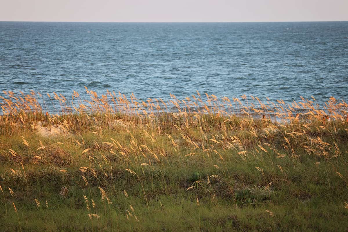 Hilton Head Island: 2025 First-Timer's Guide - Savannah First-Timer's Guide