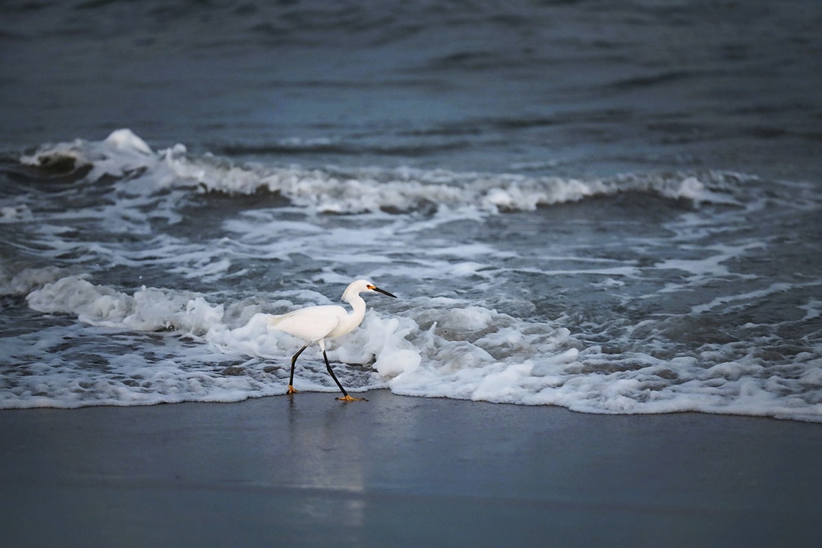 Hilton Head Island: 2025 First-Timer's Guide - Savannah First-Timer's Guide