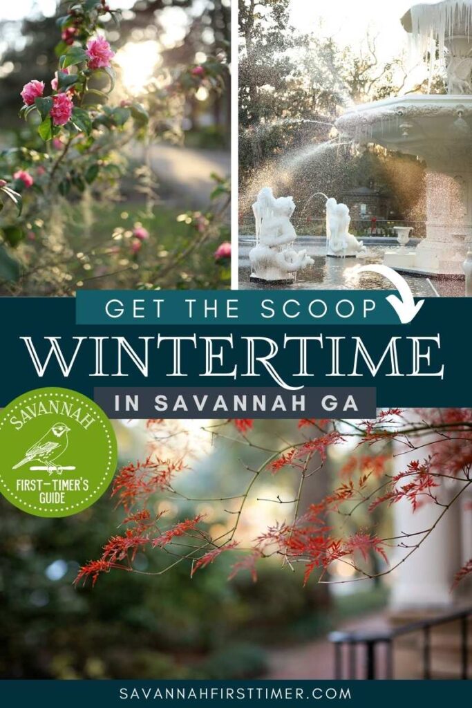 Pinnable graphic showing a photo of pink camellias, one of the Forsyth Park fountain with icicles, and a photo of a red Japanese maple with greenery behind it. Text overlay reads "Get the Scoop on Wintertime in Savannah" and the Savannah First-Timer's Guide logo is visible in white on a green background